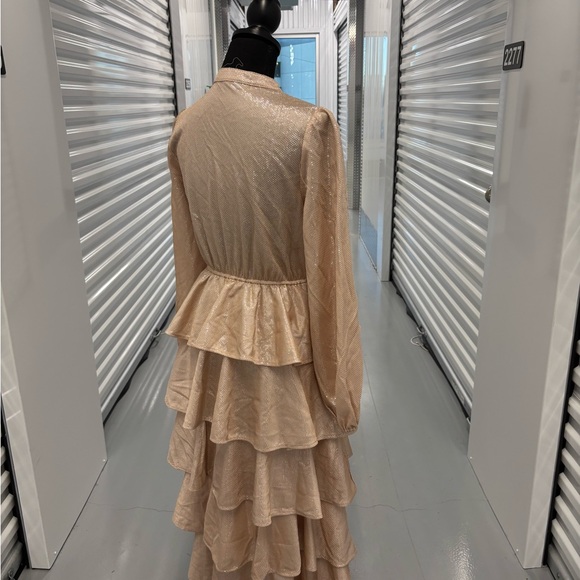 Mazik Tan Blush Pink Gold Ruffled Tiered Gown with Mandarin Collar - Picture 11 of 15